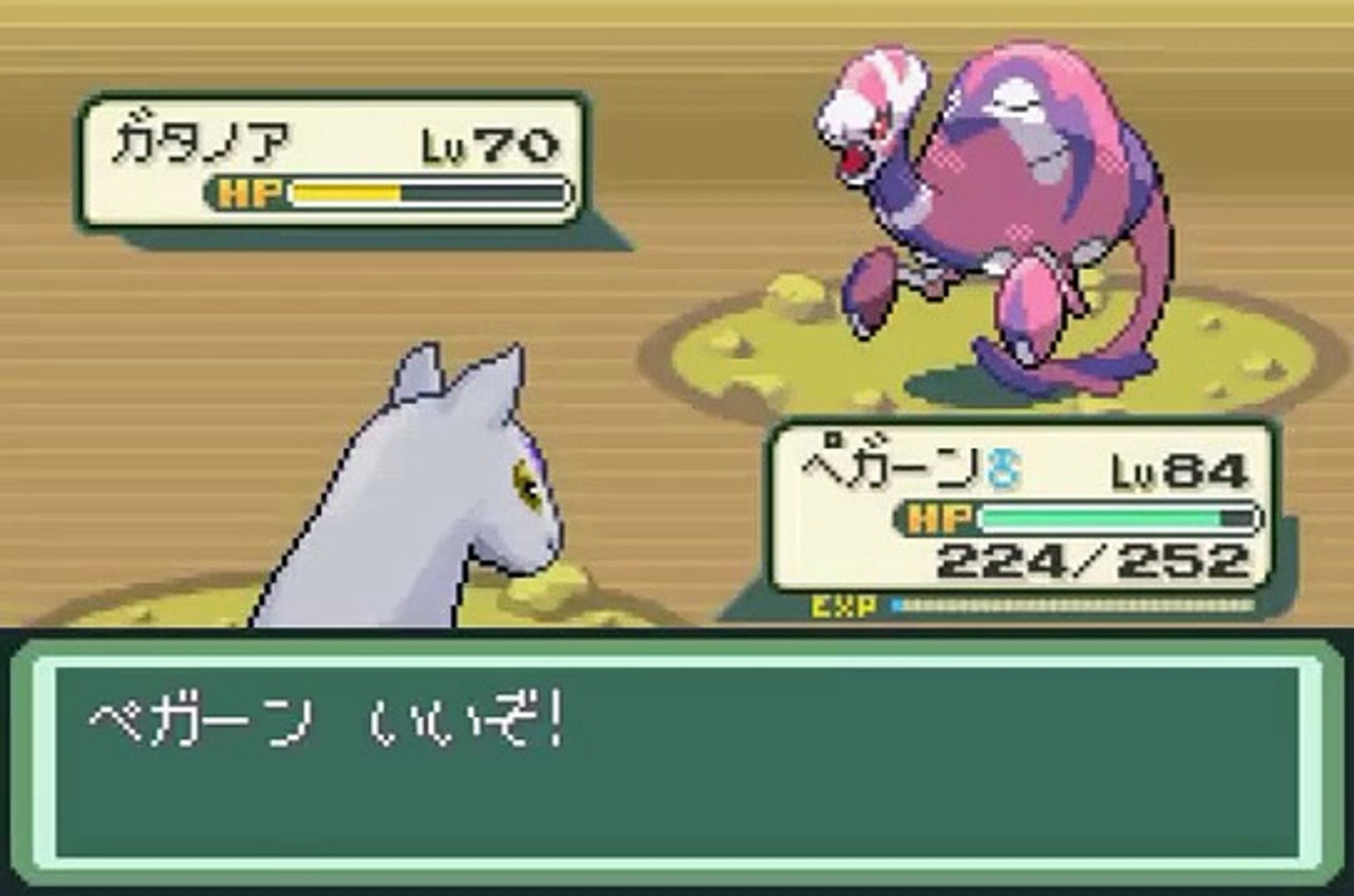 ポケットモンスターベガ ガタノア捕獲 Video Dailymotion