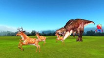 Dinosaurs Cartoon Chasing Tiger & Deer And Singing Finger Family Nursery Rhymes For Childr