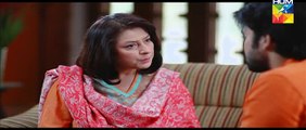 Ek Thi Misaal Last Episode 36 on Hum Tv in High Quality 12th January 2016[FullTimeDhamaal]