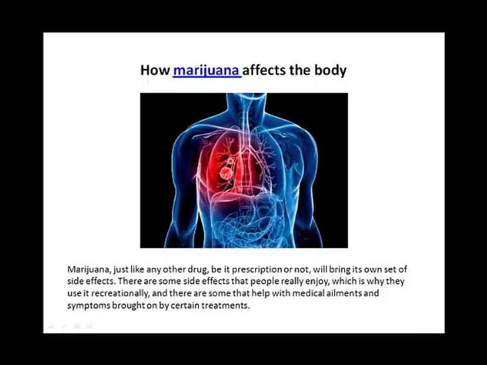 How marijuana affects the body