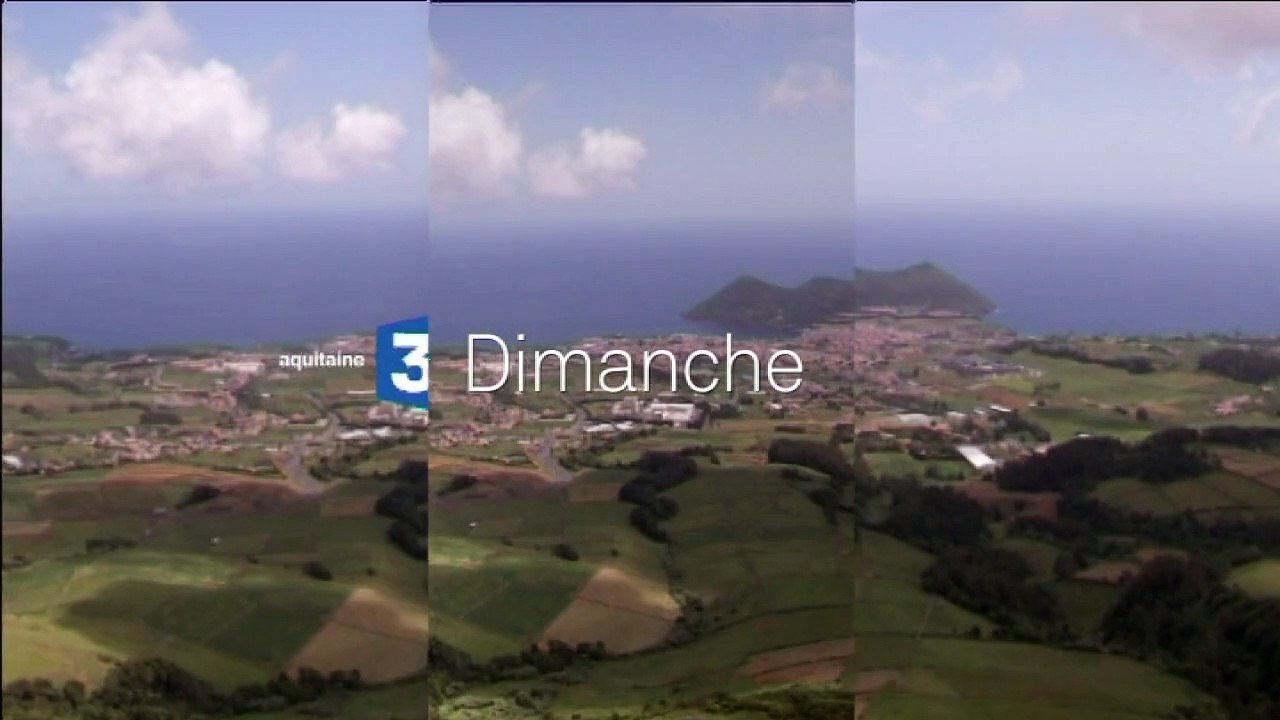 Bande annonce Signes du Toro n°91 de janvier 2016