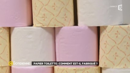 Papier toilette : comment est-il fabriqué ?