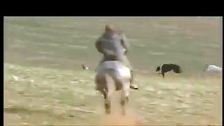 fastest rabbit of the world