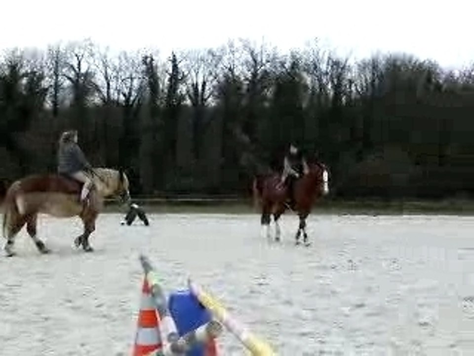 DSCF1008