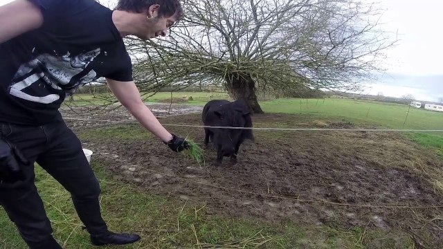 J'PEUX PAS J'AI PONEY teaser BORN IN LE MANS