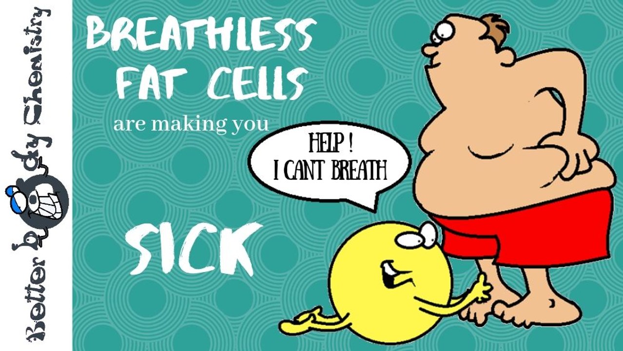 How fat cells make you sick