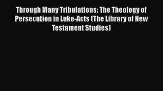 Read Through Many Tribulations: The Theology of Persecution in Luke-Acts (The Library of New