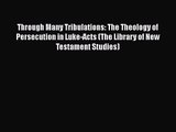 Read Through Many Tribulations: The Theology of Persecution in Luke-Acts (The Library of New