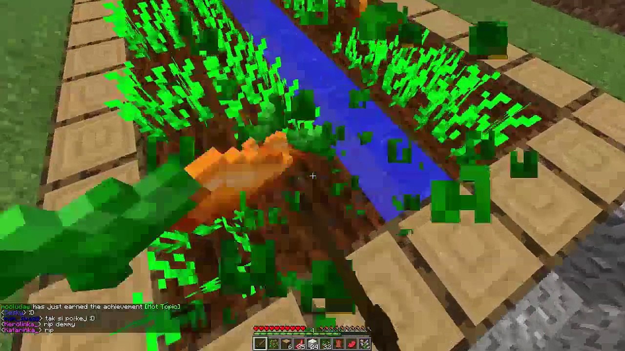 Minecraft 5