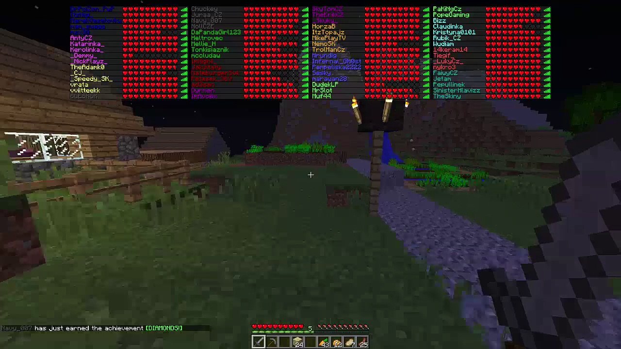 Minecraft 6