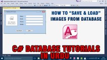 P(11) - C# Access Database Tutorials In Urdu - Save & load Images from database