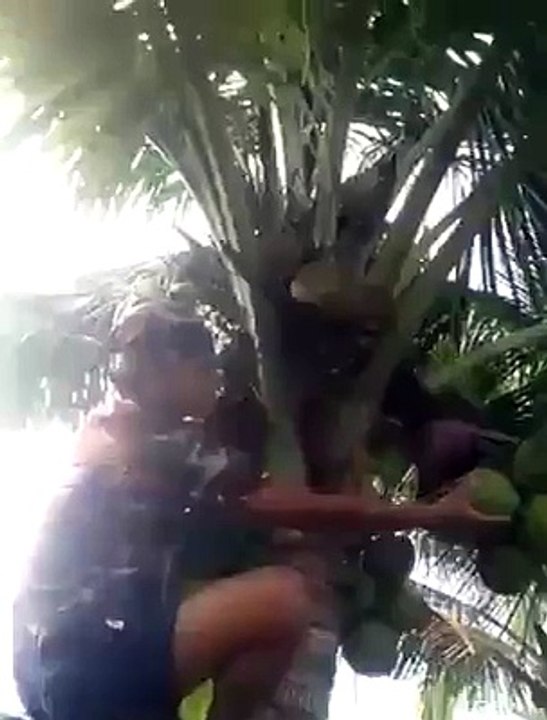 LOL This Is Soo Funny Video