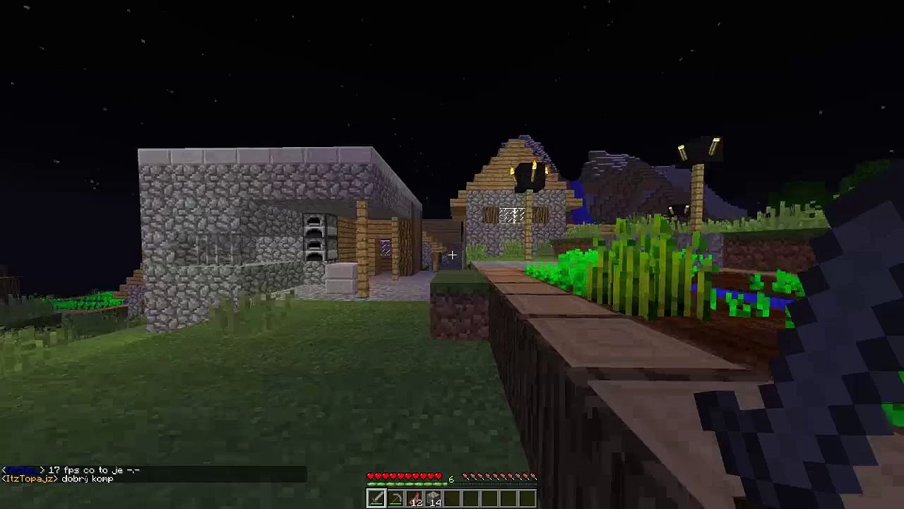 Minecraft 7