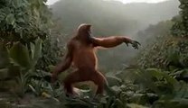 Gorilla Dancing