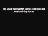 PDF Download The Small-Cap Investor: Secrets to Winning Big with Small-Cap Stocks Read Online