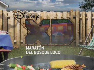 PROMO "MARATÓN DEL BOSQUE LOCO" (17-1-2016) EN DISNEY XD