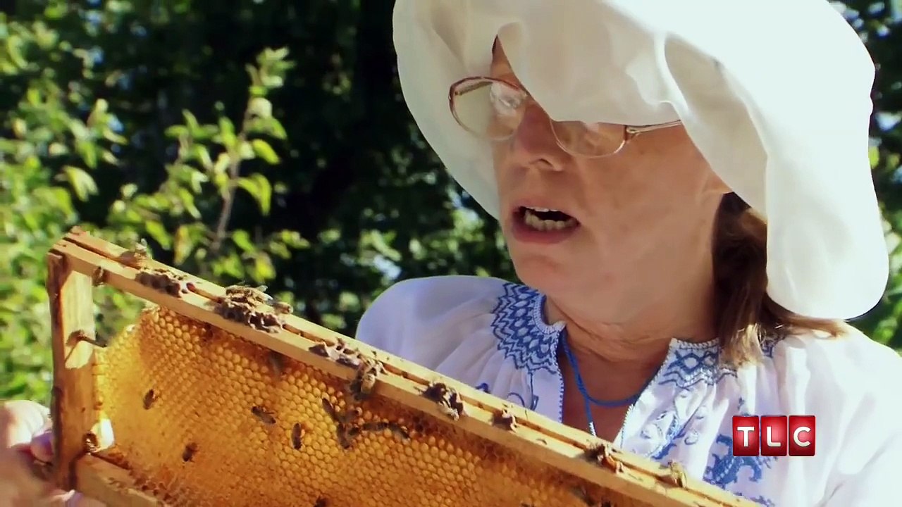 Addicted to Bee Stings   My Strange Addiction