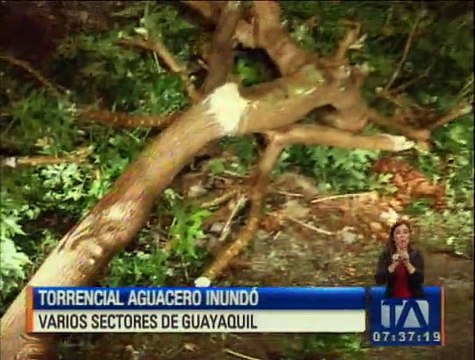 Torrencial aguacero inundó varios sectores de Guayaquil