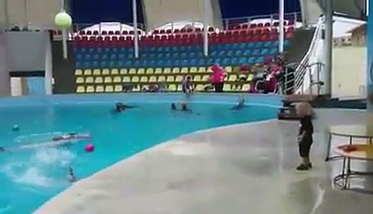 Child playing with Dolphin