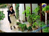 Babul Ka Angan   » Geo tv  Urdu Drama » Episode t1t» 13th January 2016 » Pakistani Drama Serial