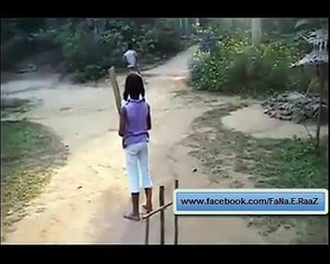 Beautiful Fielding of Dog By FaNa -E- RaaZ