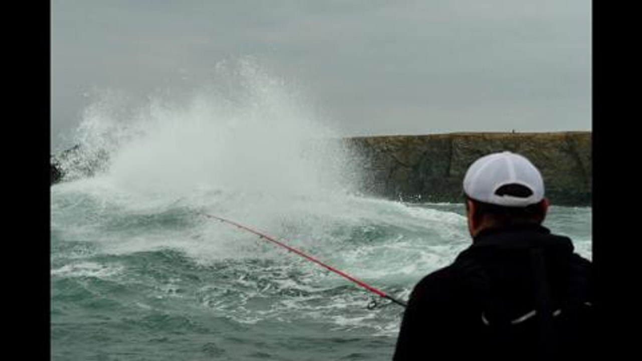 Bars dans la tempête