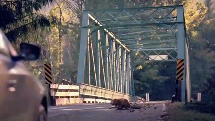 Mos kembengul nese te del dicka ne rruge mendoje se te del per mire