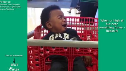 BEST VINES of November 2015 with Titles! - NEW November Vine Compilation Part 4 - BEST VINES ✔