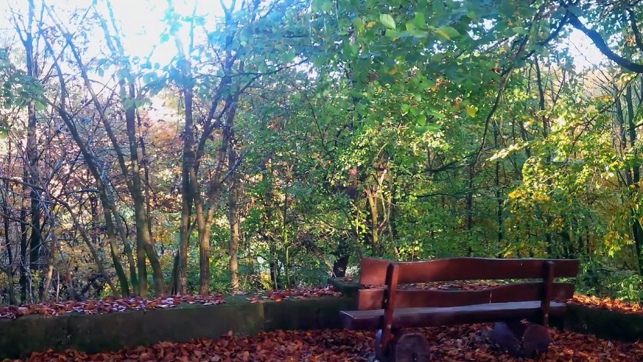 Am Stumpfen Turm in Bad Salzuflen - www.lipperland.de