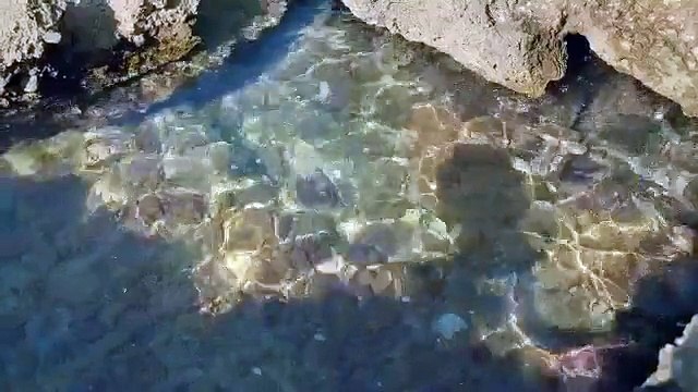 Norwegian Cruises - Cruise Like a Norwegian