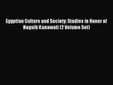 [PDF Download] Egyptian Culture and Society: Studies in Honor of Naguib Kanawati (2 Volume