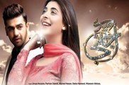 Mere Ajnabi Episode 24 on ARY Digital - 13th January 2016 - HD