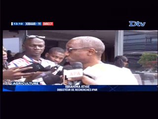 Les pays de la CEDEAO se mobilisent pour l'autosuffisance en riz