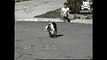 Watch Otto The Skateboarding Bulldog Totally Shred A World Record