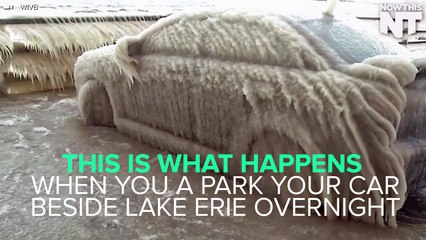 This Is What Happens When You Park Your Car Near Lake Erie Ove...