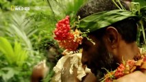 Islands  Fiji Nature History Documentary