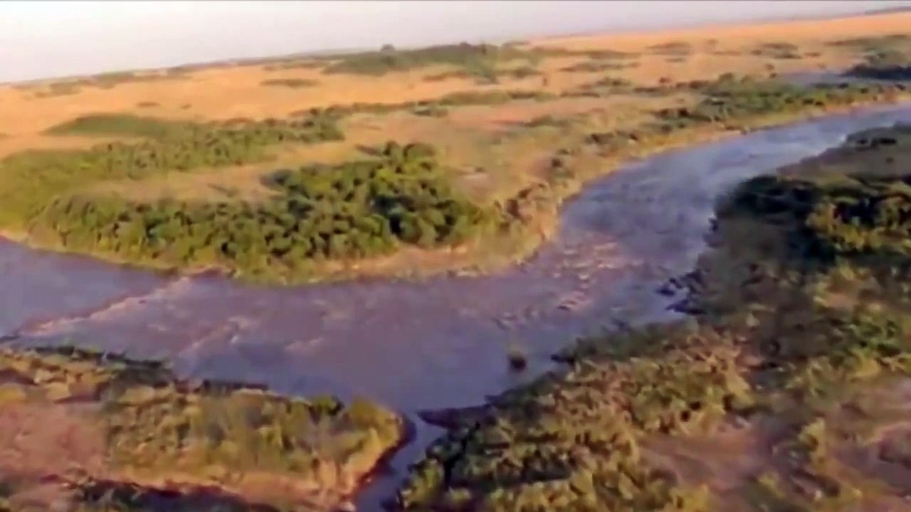 Lions Documentary  Lion Kill Union Epic Fights for Power