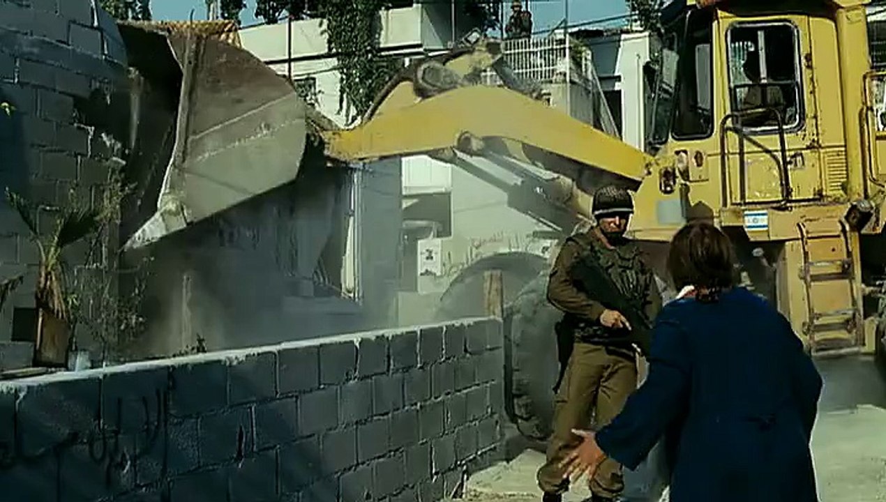 Big Mother Lover Wolves Palestine