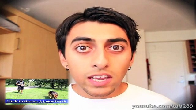 Dog Training Tutorial - Distractions PART II (Healing Reactivity