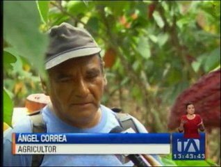 Télécharger la video: Agricultores preocupados por incremento de costo en pesticidas