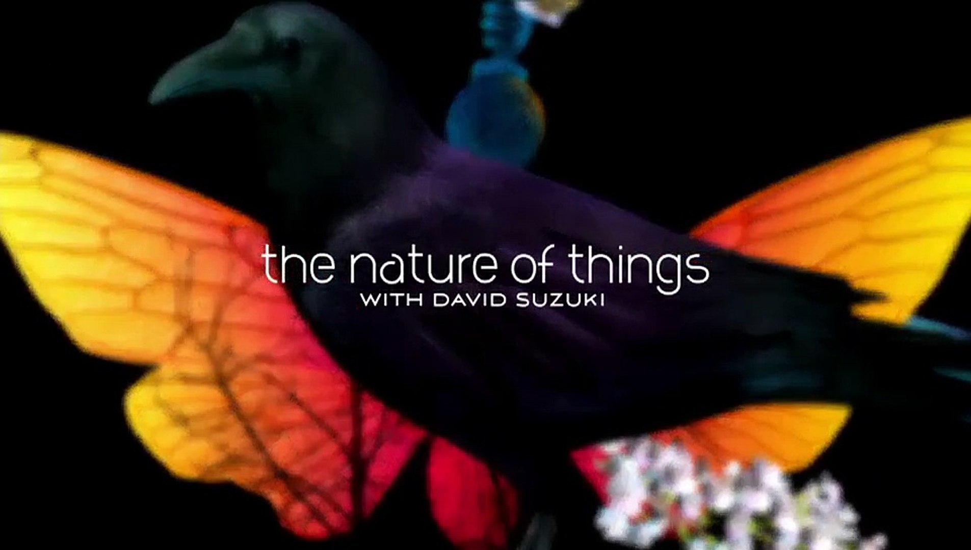 The Nature Of Things Ca Myth Or Science In The Eye Of The Storm Dailymotion Video