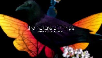 The Nature of Things CA - Myth or Science In the Eye of the Storm