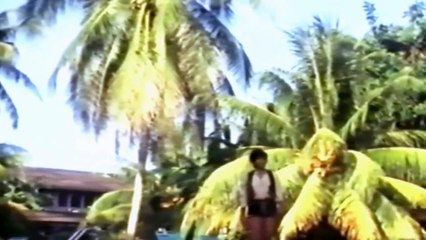 Shirley Bassey - Love Is In The Air / The Drifters - Kissin In The Back Row (1979 Show #4)