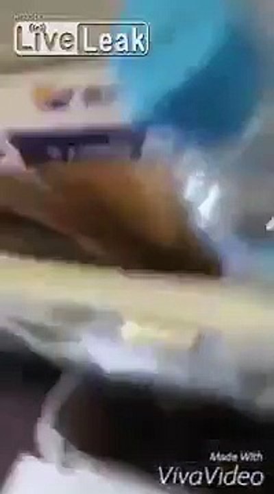 Not your usual Jet passengers **Volume**