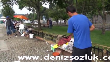 rumeli hisari asiyan istavrit avi www.denizsozluk.com