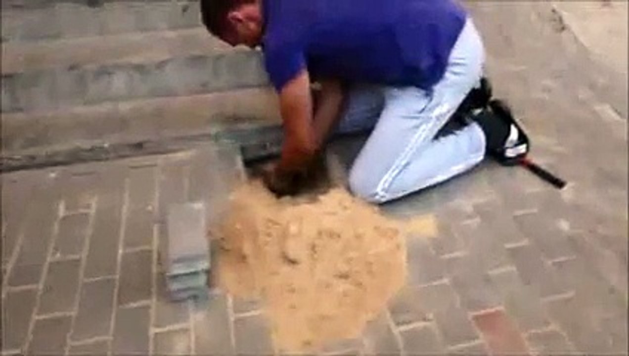 sauvetage incroyable ! un chien enterré vivant sauvé