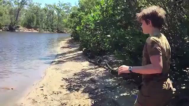 In case you're wondering, stingrays do not aggressively attack humans,