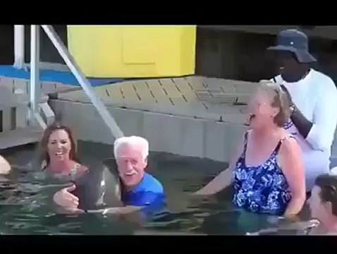 Dolphin spits at man, man spits back