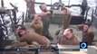 Des soldats des états unis capturés par ldes islamiste Iraniens