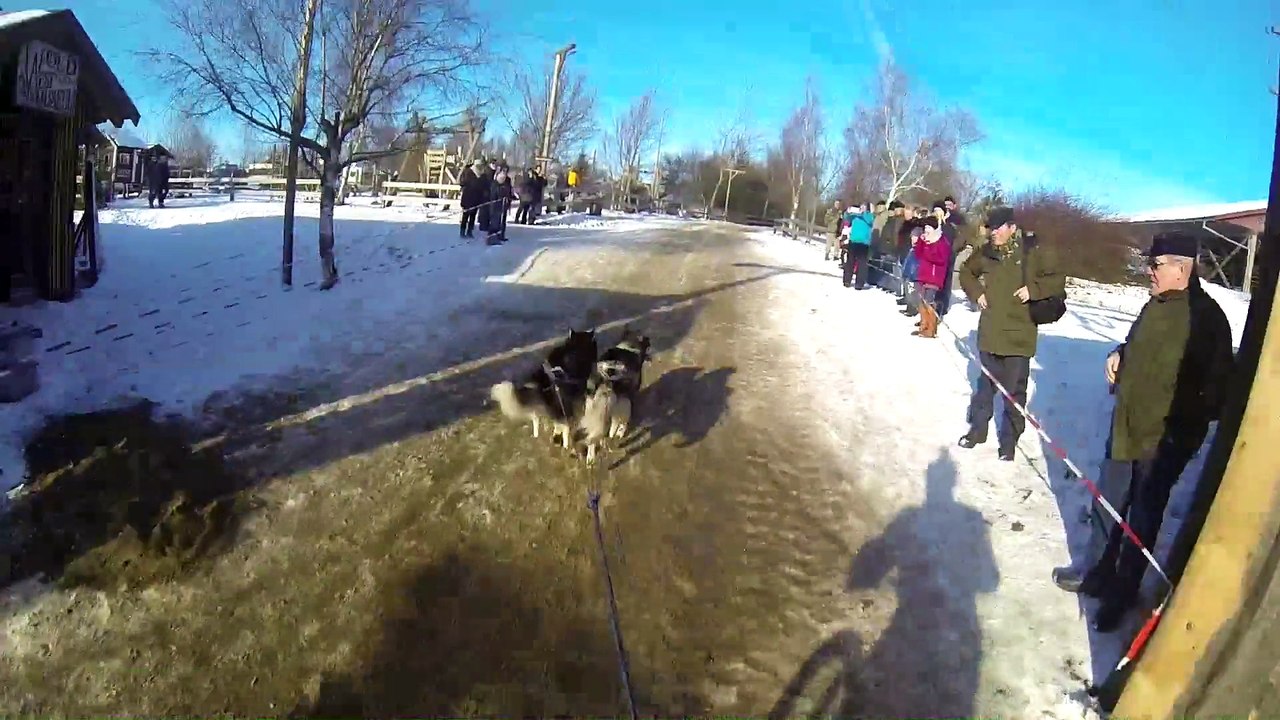 Pullman City Quest 2016